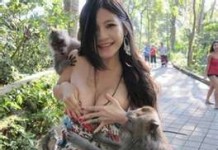 Monkey Girl Has Breast Implants