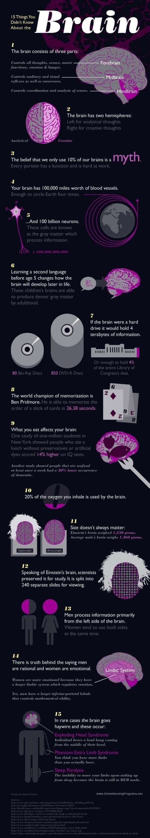 15-Interesting-Fact-About-The-Brain