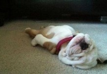 Daylight Savings: Follow These Tips to Make Time Change Not Affect Your Mood sleep