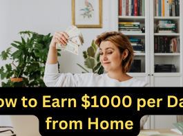 Earning $1000 Per Day